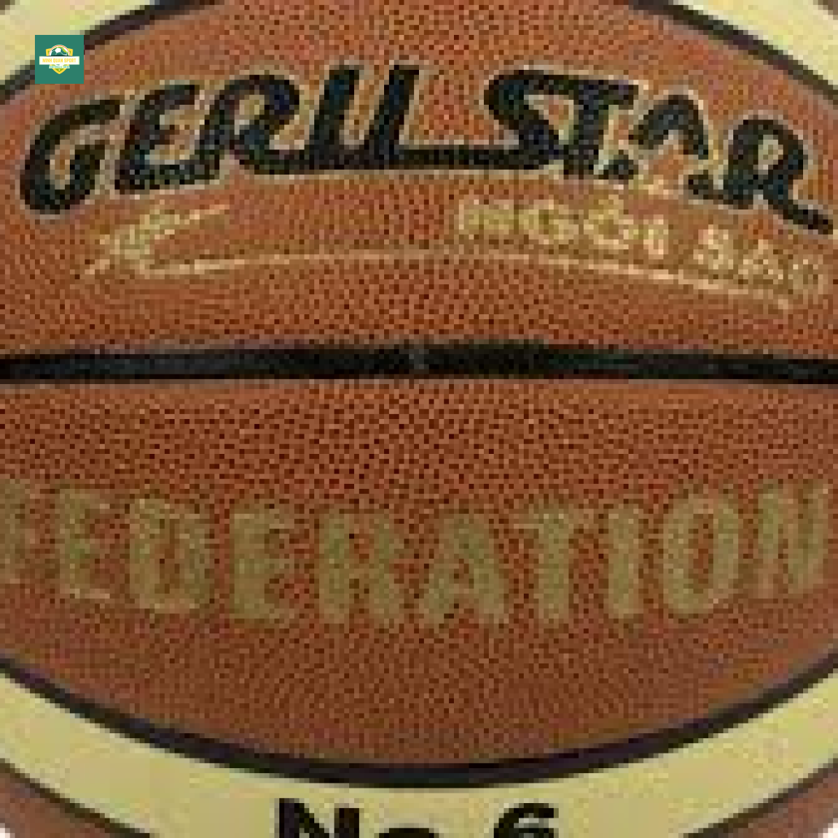 Quả Bóng Rổ Geru Federation B6 Da PU
