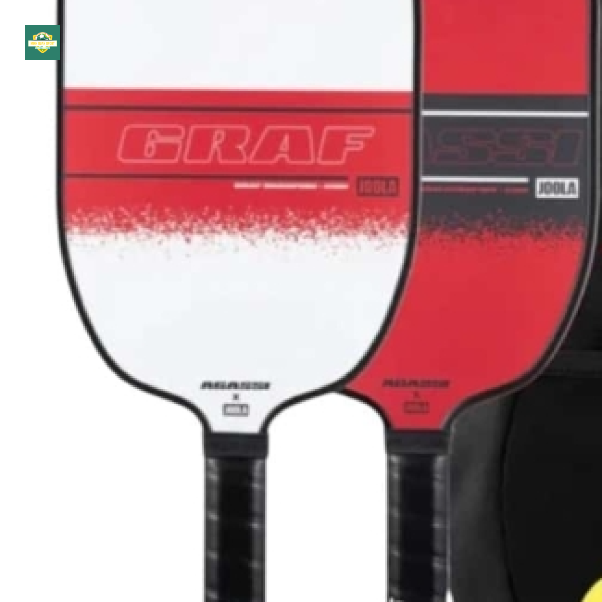 Set vợt Pickleball Joola Agassi/Graf Champion