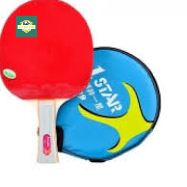 Vợt bóng bàn 729-1Star
