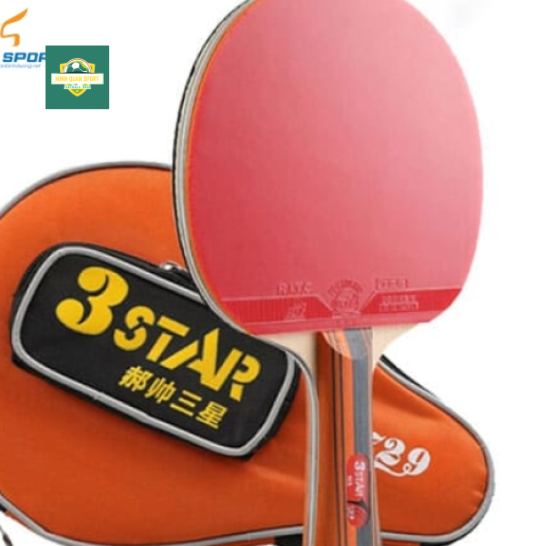 Vợt bóng bàn 729 - 3Star