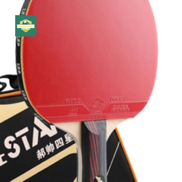 Vợt bóng bàn 729 - 4Star